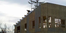Structural Insulated Panels (SIP Panels)
